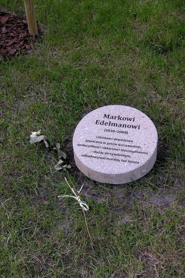 Obelisk upamiętniający Marka Edelmana w Ogrodzie Sprawiedliwych w Warszawie. Autor zdjęcia : Mateusz Opasiński . Licencja: Creative Commons, źródło: https://pl.wikipedia.org/
