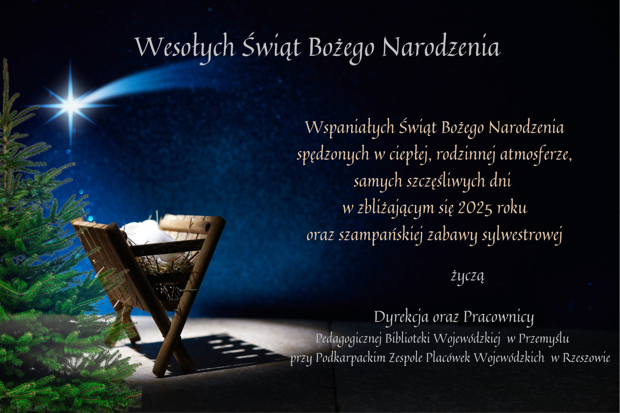 Wesołych Świat Bożego Narodzenia dla wszystkich Użytkowników i Przyjaciół PBW w Przemyślu składają Dyrekcja i Pracownicy Biblioteki